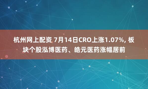 杭州网上配资 7月14日CRO上涨1.07%, 板块个股泓博医药、皓元医药涨幅居前