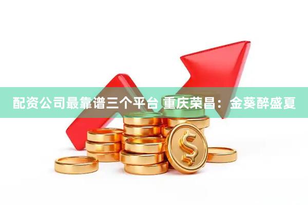 配资公司最靠谱三个平台 重庆荣昌：金葵醉盛夏