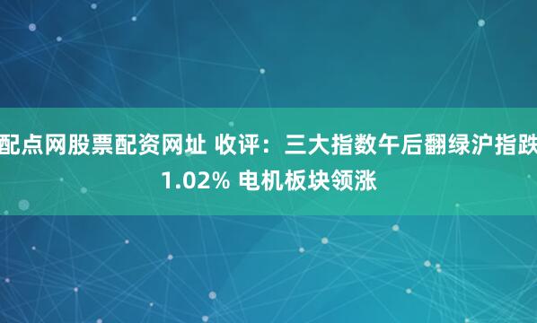 配点网股票配资网址 收评：三大指数午后翻绿沪指跌1.02% 电机板块领涨
