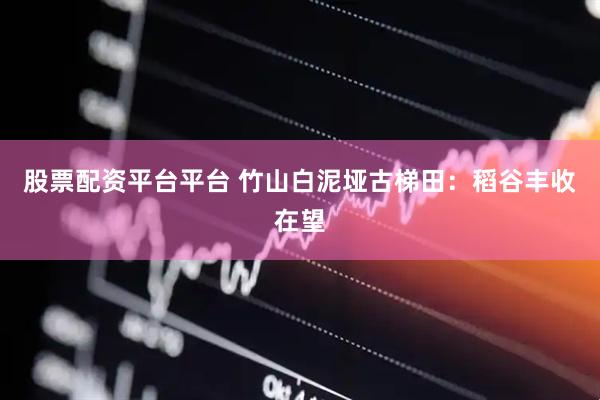 股票配资平台平台 竹山白泥垭古梯田：稻谷丰收在望